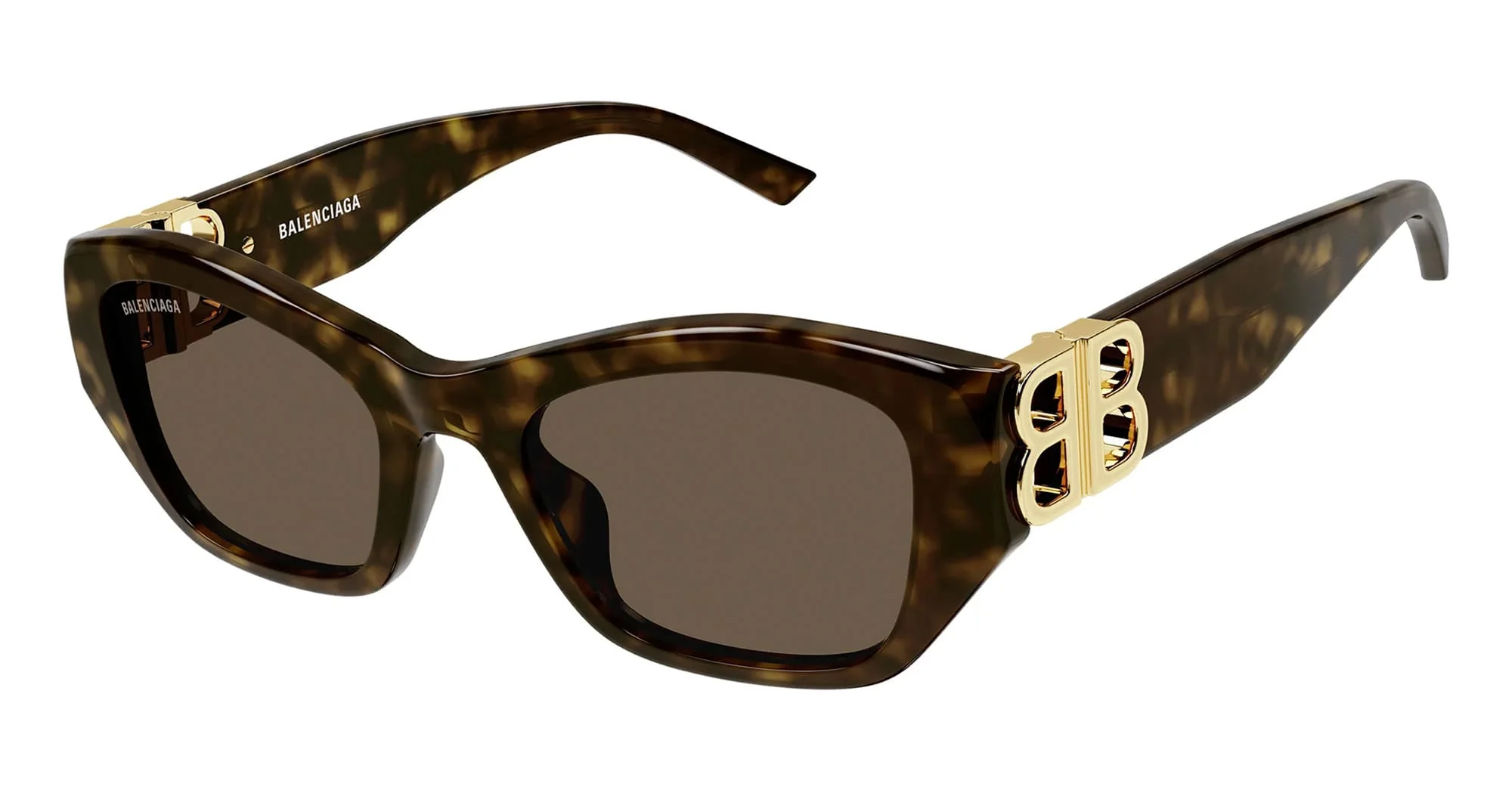Bb0311sk-002 - tortoise - Image 2