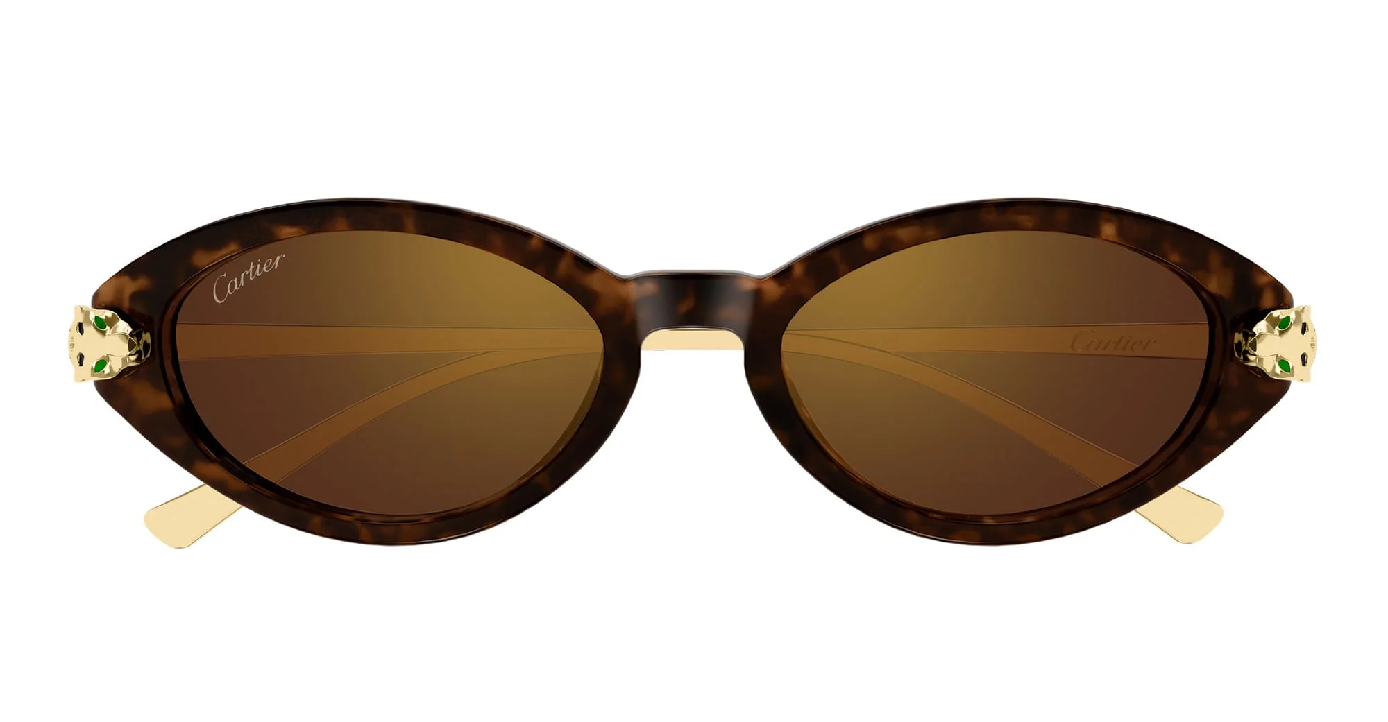 Panthere de cartier ct0634s-002 - havana / gold