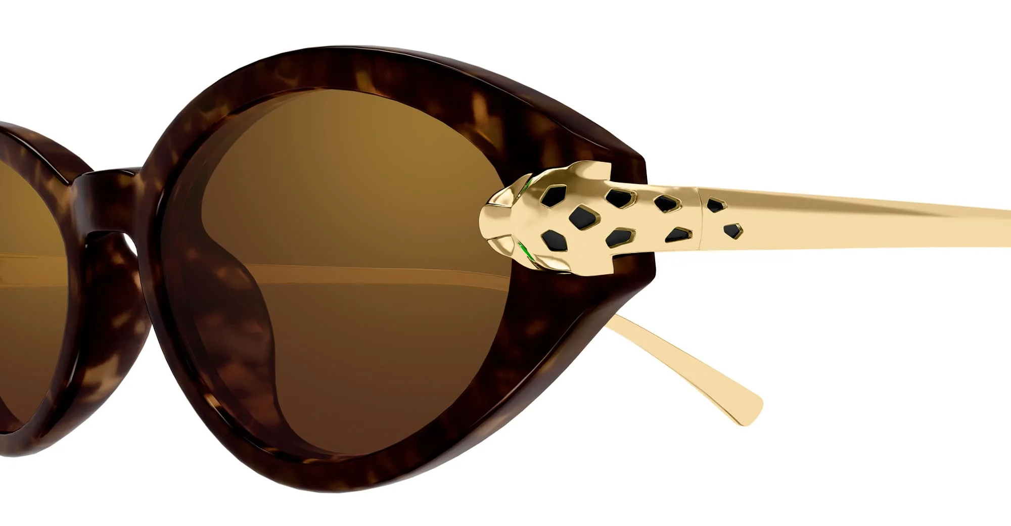 Panthere de cartier ct0634s-002 - havana / gold - Image 3